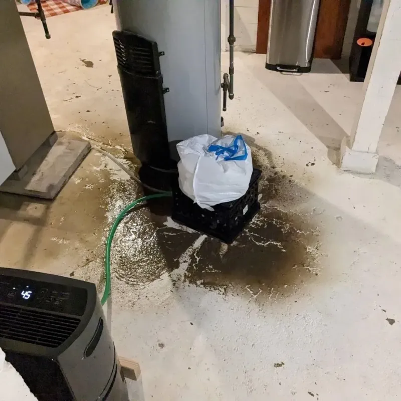 Sewage Backup Cleanup Service in Gallatin, MO